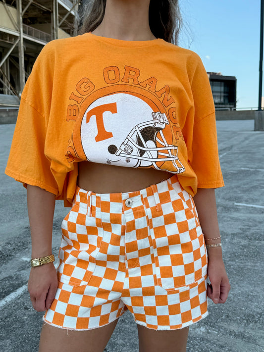 Checkerd Neyland Denim Shorts